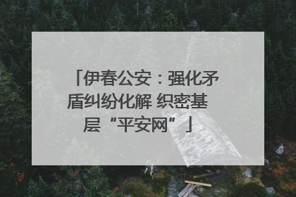 伊春公安：强化矛盾纠纷化解 织密基层“平安网”