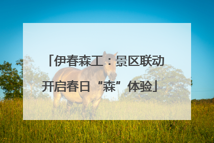 伊春森工：景区联动开启春日“森”体验