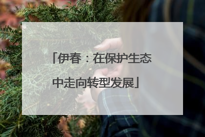 伊春：在保护生态中走向转型发展