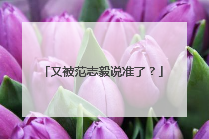 又被范志毅说准了？
