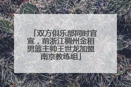 双方俱乐部同时官宣，前浙江稠州金租男篮主帅王世龙加盟南京教练组