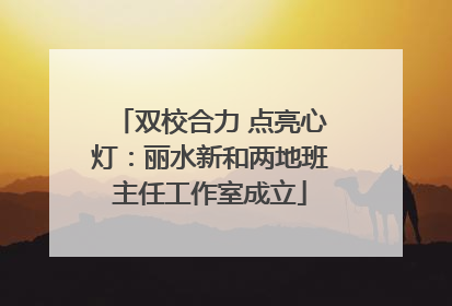 双校合力 点亮心灯：丽水新和两地班主任工作室成立
