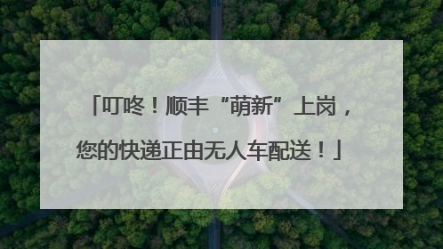 叮咚！顺丰“萌新”上岗，您的快递正由无人车配送！