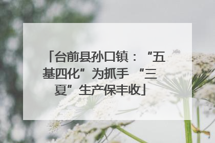 台前县孙口镇：“五基四化”为抓手 “三夏”生产保丰收