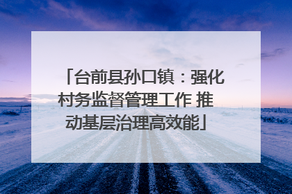 台前县孙口镇：强化村务监督管理工作 推动基层治理高效能