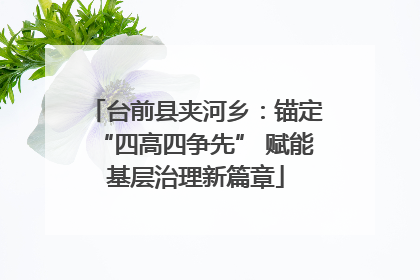 台前县夹河乡：锚定“四高四争先” 赋能基层治理新篇章