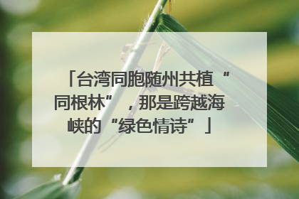 台湾同胞随州共植“同根林”，那是跨越海峡的“绿色情诗”