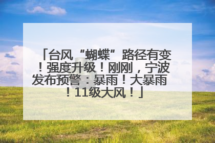 台风“蝴蝶”路径有变！强度升级！刚刚，宁波发布预警：暴雨！大暴雨！11级大风！
