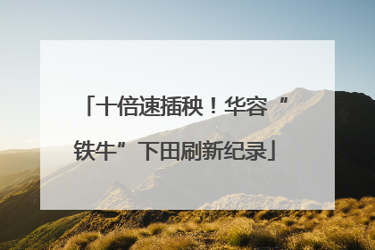 十倍速插秧！华容“铁牛”下田刷新纪录