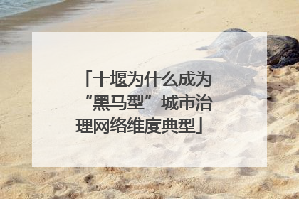 十堰为什么成为“黑马型”城市治理网络维度典型