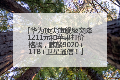 华为顶尖旗舰级突降1211元和苹果打价格战，麒麟9020+1TB+卫星通信！