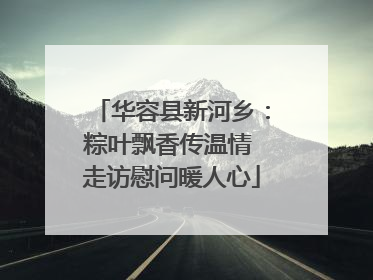 华容县新河乡：粽叶飘香传温情 走访慰问暖人心