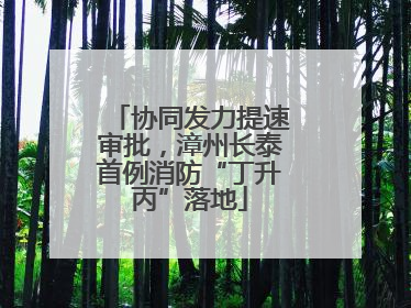 协同发力提速审批，漳州长泰首例消防“丁升丙”落地