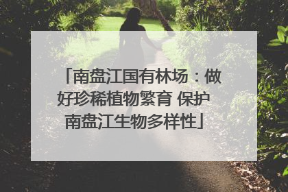 南盘江国有林场：做好珍稀植物繁育 保护南盘江生物多样性