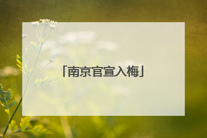 南京官宣入梅
