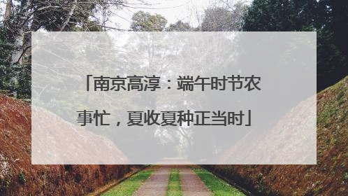 南京高淳：端午时节农事忙，夏收夏种正当时