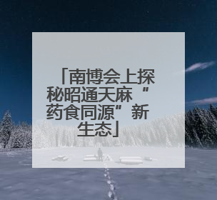 南博会上探秘昭通天麻“药食同源”新生态