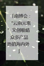 南博会：“云南元素”文创吸睛 众多产品热销海内外
