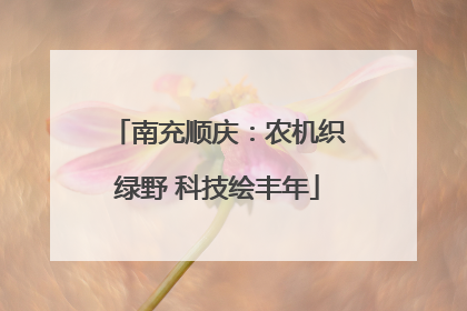 南充顺庆：农机织绿野 科技绘丰年