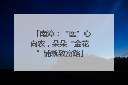 南漳：“医”心向农，朵朵“金花”铺就致富路