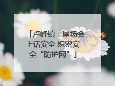 卢峰镇：屋场会上话安全 织密安全“防护网”