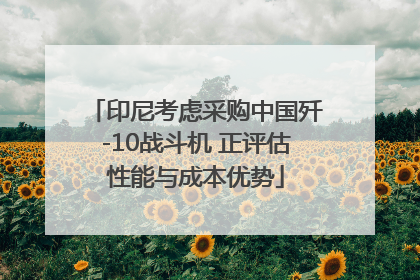 印尼考虑采购中国歼-10战斗机 正评估性能与成本优势