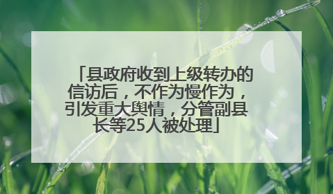 县政府收到上级转办的信访后，不作为慢作为，引发重大舆情，分管副县长等25人被处理