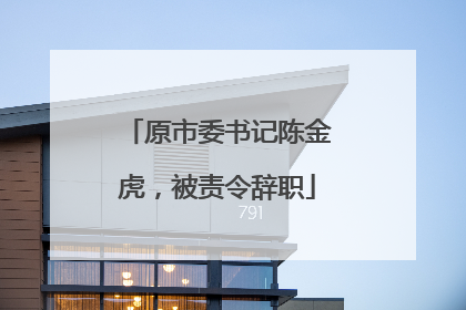 原市委书记陈金虎，被责令辞职