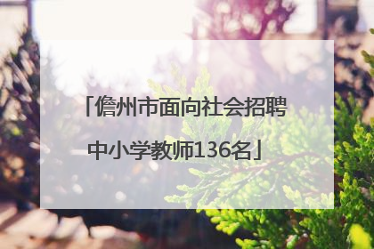 儋州市面向社会招聘中小学教师136名