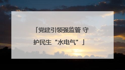 党建引领强监管 守护民生“水电气”