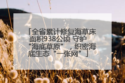 全省累计修复海草床面积938公顷 守护“海底草原”，织密海底生态“一张网”