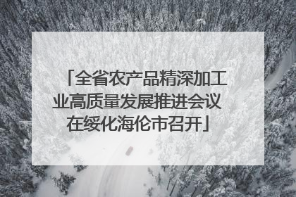 全省农产品精深加工业高质量发展推进会议在绥化海伦市召开