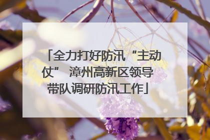 全力打好防汛“主动仗” 漳州高新区领导带队调研防汛工作
