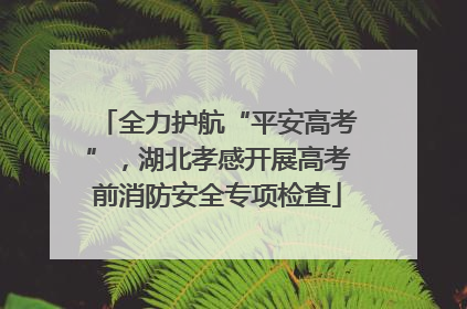 全力护航“平安高考”，湖北孝感开展高考前消防安全专项检查