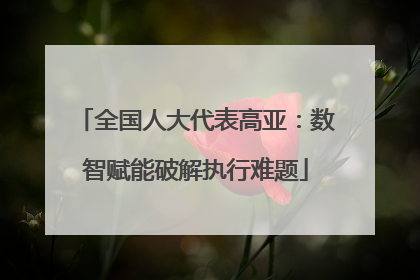 全国人大代表高亚：数智赋能破解执行难题