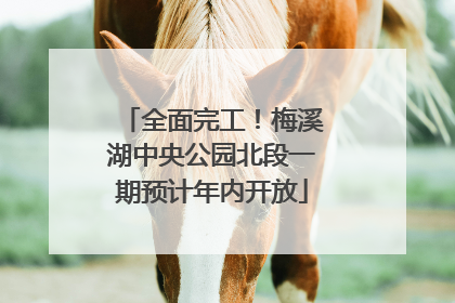 全面完工！梅溪湖中央公园北段一期预计年内开放