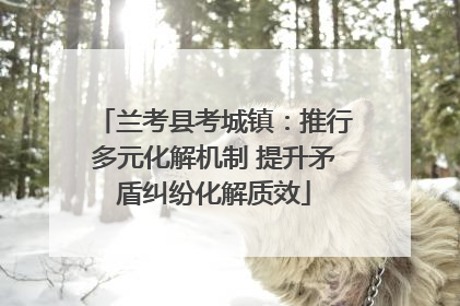 兰考县考城镇：推行多元化解机制 提升矛盾纠纷化解质效