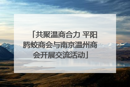 共聚温商合力 平阳腾蛟商会与南京温州商会开展交流活动
