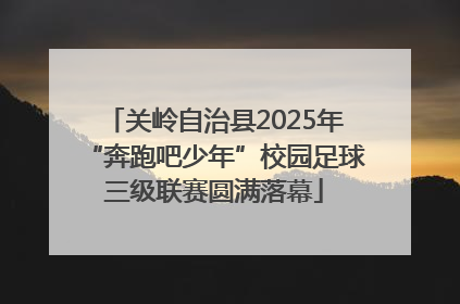 关岭自治县2025年“奔跑吧少年”校园足球三级联赛圆满落幕