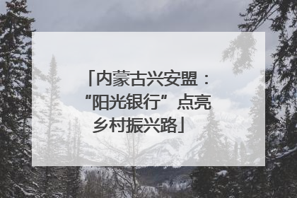 内蒙古兴安盟：“阳光银行”点亮乡村振兴路