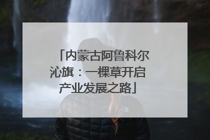 内蒙古阿鲁科尔沁旗：一棵草开启产业发展之路