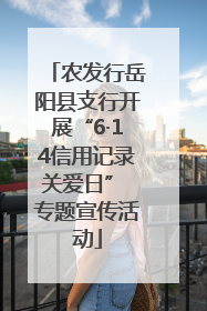 农发行岳阳县支行开展“6·14信用记录关爱日” 专题宣传活动