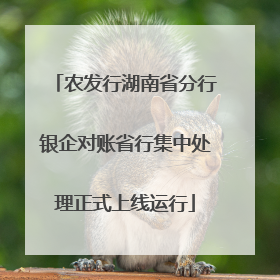 农发行湖南省分行银企对账省行集中处理正式上线运行