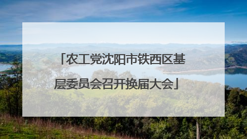 农工党沈阳市铁西区基层委员会召开换届大会