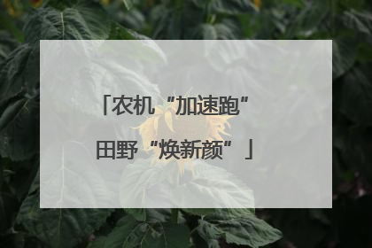 农机“加速跑” 田野“焕新颜”