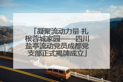 凝聚流动力量 扎根蓉城家园——四川盐亭流动党员成都党支部正式揭牌成立