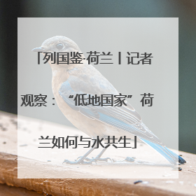 列国鉴·荷兰丨记者观察：“低地国家”荷兰如何与水共生