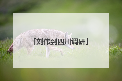 刘伟到四川调研