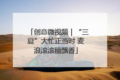 创意微视频｜“三夏”大忙正当时 麦浪滚滚穗飘香