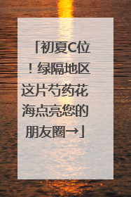 初夏C位！绿隔地区这片芍药花海点亮您的朋友圈→